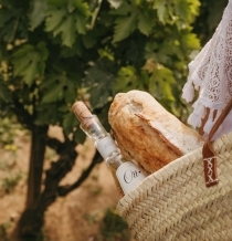 vynas piknikas 